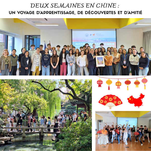 Deux semaines en Chine : un voyage d’apprentissage, de découvertes et d’amitié