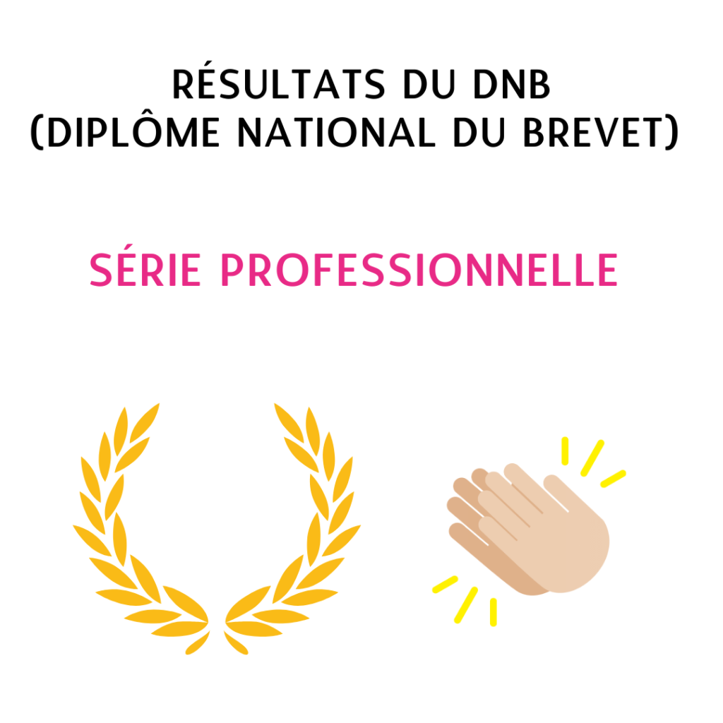 RÉSULTATS DU DNB 2023 SÉRIE PROFESSIONNELLE