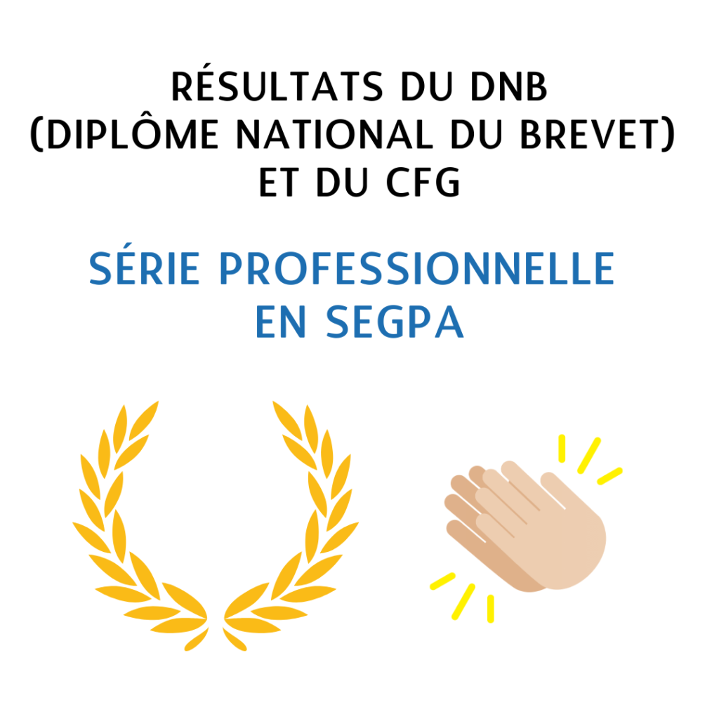 Résultats du DNB PRO et CFG en SEGPA